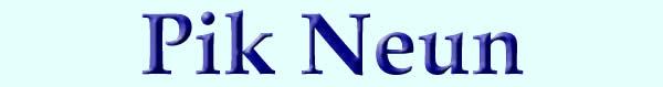 Pik Neun